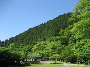BOSCO写真1