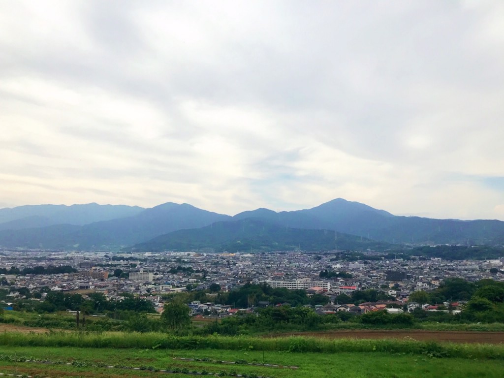 渋沢丘陵
